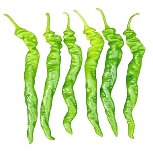 新鲜螺丝椒10斤特产农家自种时令蔬菜软皮薄皮青皱皮土辣椒东北