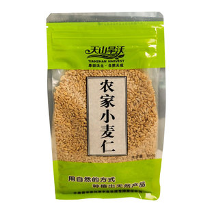 新疆天山旱沃新鲜去皮发芽麦子麦仁脱皮冬小麦种子米麦粒米旗舰店