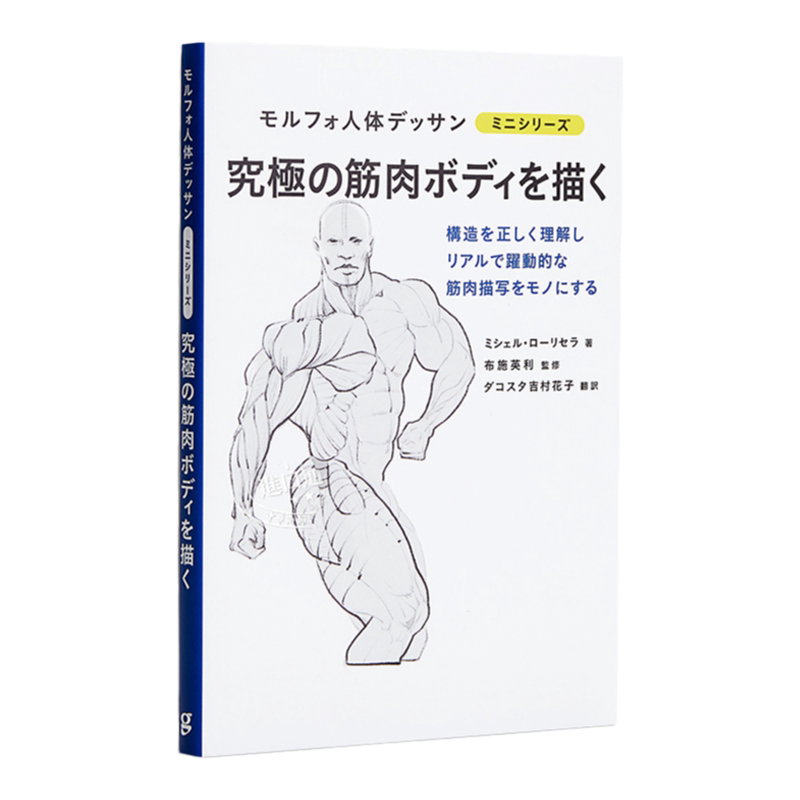 人体动态肌肉躯体作画技法