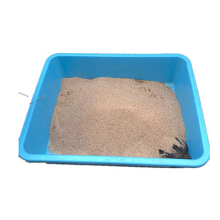 天然乌龟沙子冬眠专用沙产蛋孵化细沙河沙冬眠苔藓用品乌龟沙冬眠