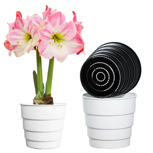 美莳朱顶红专用花盆树脂透气控根青山郁金香土培百合种球球根加厚