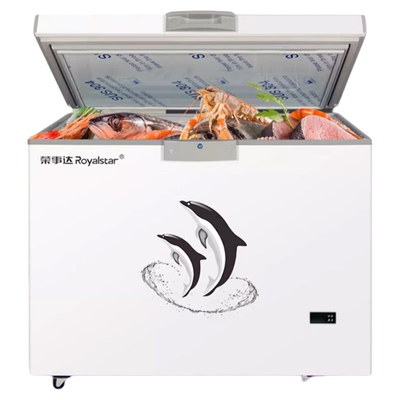 -40℃荣事达330升冷柜新款