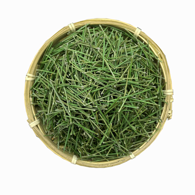 秦岭高山老树松针500g克可泡茶