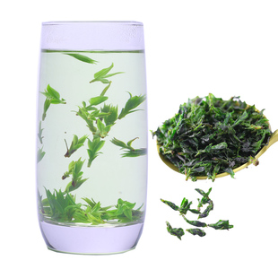 云南野生毛冬青小嫩芽正品小叶苦丁茶青山绿水毛冬青珍藏米芽半斤