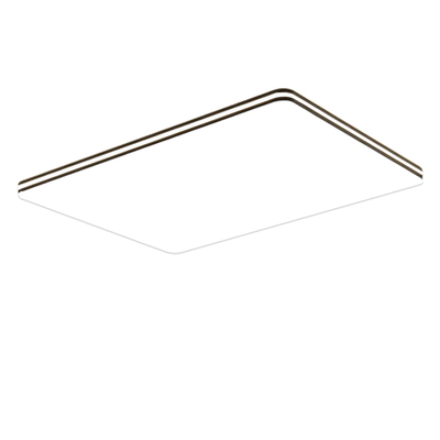 新款家用客厅吸顶灯办公室大灯