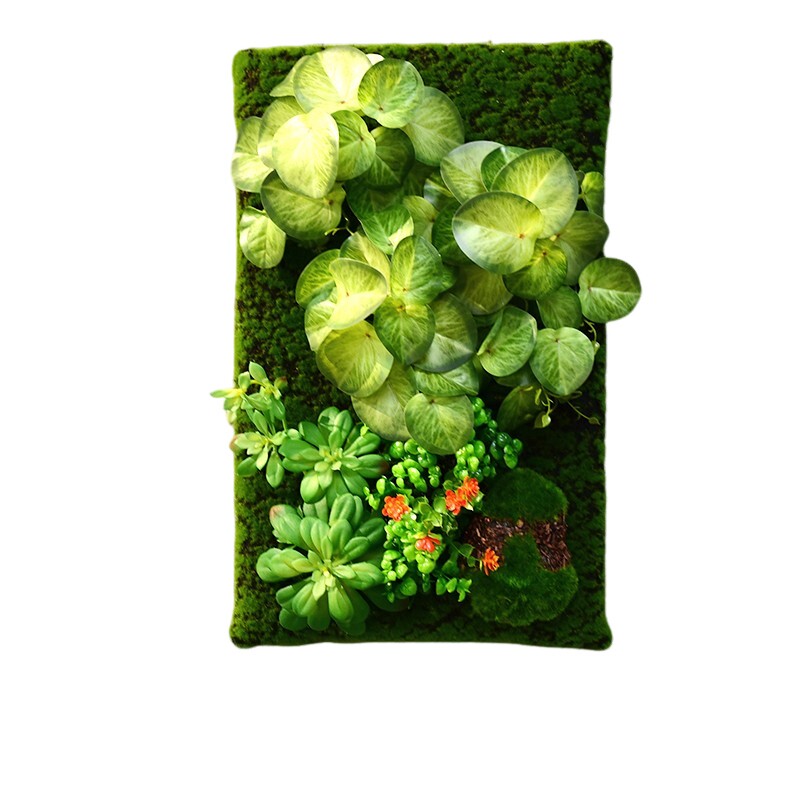 仿真多肉植物壁挂绿植