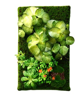 仿真多肉植物壁挂绿植