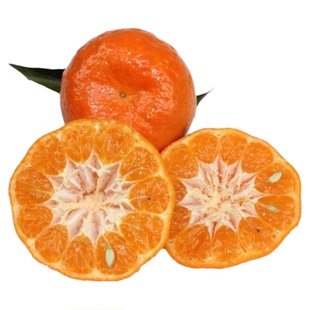 四川红橘子大红袍当季新鲜水果10斤正宗川红橘陈皮原料万州古红桔