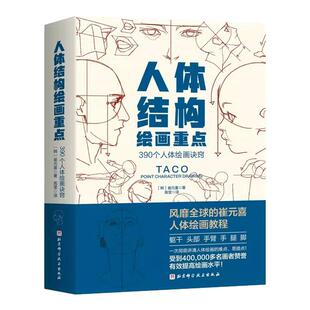 人体结构绘画重点 人体结构 人体绘画 崔元喜 TACO人体 人体结构绘画教程 绘画技巧教程 390个躯干头部手臂手腿脚诀窍人体绘画指南
