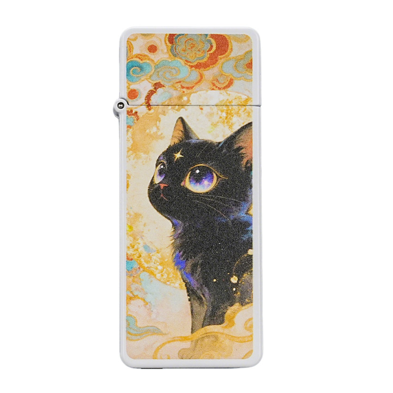 zippo充电打火机星空小猫