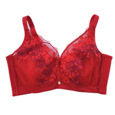 新美婷文胸软钢圈定型