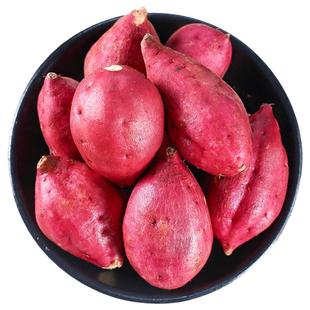 新鲜板栗红薯5斤蛋蛋果天目山沙地小香薯鸡蛋圆番薯农家自种地瓜