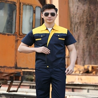 Скрытый голубой и желтый плечо наполовину вершина