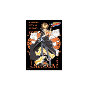 【正版官谷】家庭教师HITMAN REBORN!周边明信片组潮玩星球 预售