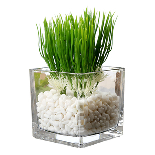 方形玻璃大号花盆鱼缸水培容器包邮居家装饰桌面简约北欧现代创意