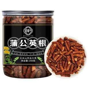 野生蒲公英根茶500g长白山浦公英官方旗舰店正品搭特級中散结藥材