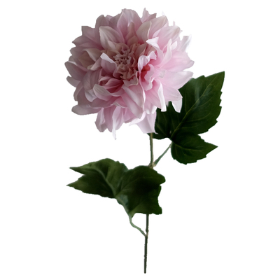 大丽花客厅摆设桌面插花