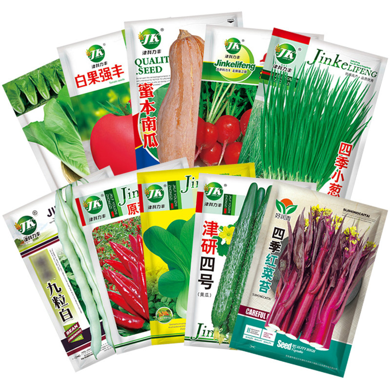 买4送2蔬菜种子四季播种阳台盆栽庭院香菜生菜菠菜小葱种籽孑大全