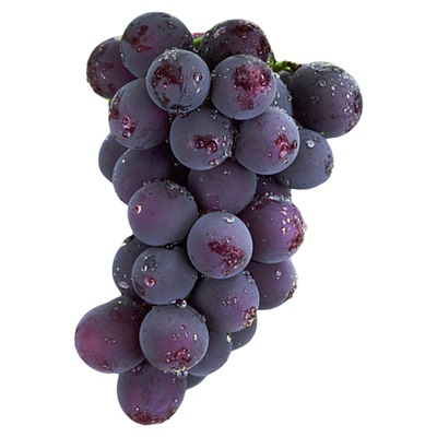 巨峰葡萄南北盆栽耐寒