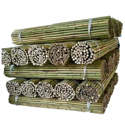 竹竿菜园搭架蔬菜篱笆栅栏支撑架
