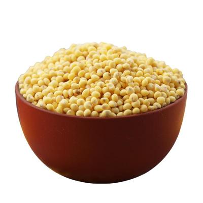 2025新山西大黄米包粽子粘糕软米