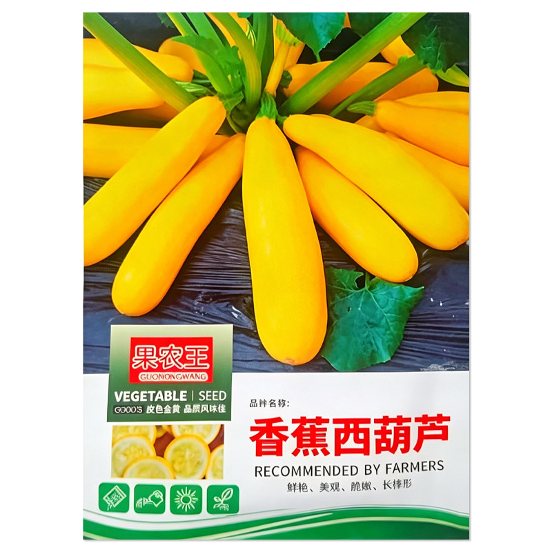 香蕉西葫芦种子四季蔬菜种子
