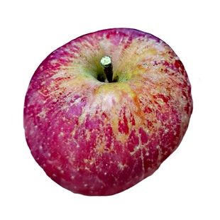 云南新鲜水果昭通丑苹果脆甜富士当季高原冰糖心整箱现摘平果包邮