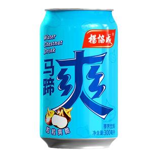 马来西亚yeos杨协成马蹄爽300mL菊花茶柠檬茶港版冬瓜茶清凉饮料