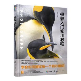 赠视频课 摄影入门实用教程 摄影技巧大全 构图用光色彩实用指南 理论相机菜单功能 人像风光技巧指导 摄影爱好者正版书籍