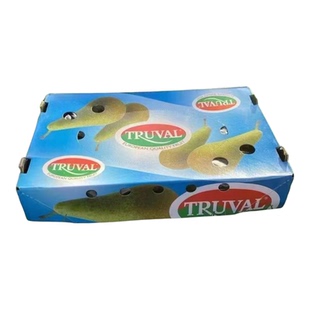 都乐比利时Truval啤梨24-26颗中果梨子青皮梨礼盒软硬两吃包顺丰