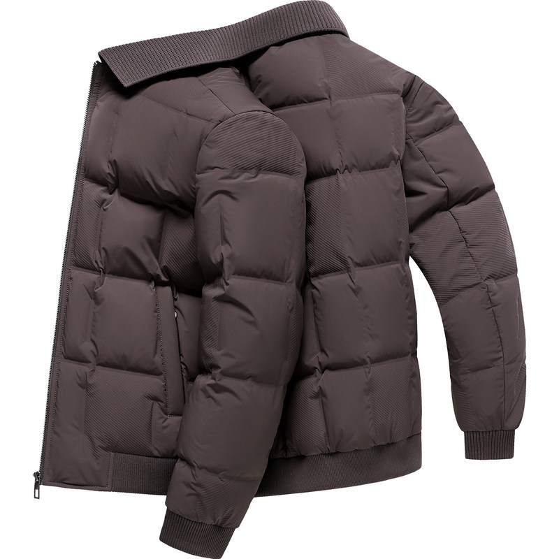 雪中飞轻便时尚羽绒服男翻领短款