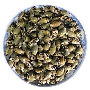 新鲜正宗小青螺翡翠螺小青螺蛳螺小海鲜海青螺小螺丝青壳商用批发