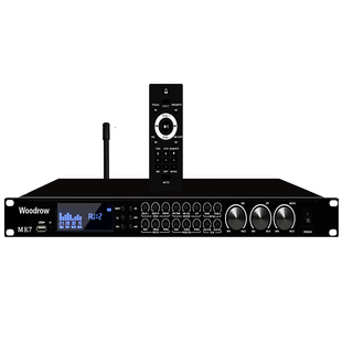 德国伍德罗蓝牙前级效果器专业DSP数码混响防啸叫ktv音响功放套装