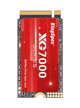 金胜维2242PCIe4.0x4固态硬盘