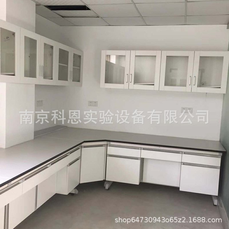 厂家供应实验室全钢试验台PP物理化学实验室吊柜实验台通风柜吊柜