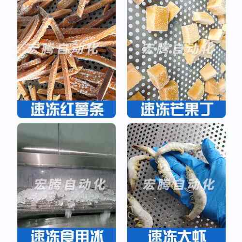 大型食品快速单冻机压缩机隧道式速冻机多功能食品厂低温冻品