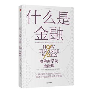 什么是金融 米希尔德赛 著 建立财务的直觉 财务分析能力 金融世界运作 案头应备的理论与操作指南 中信正版