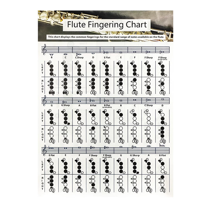 青歌CD01长笛和弦指法图 Flute Chord Chart长笛指法表指法练习图