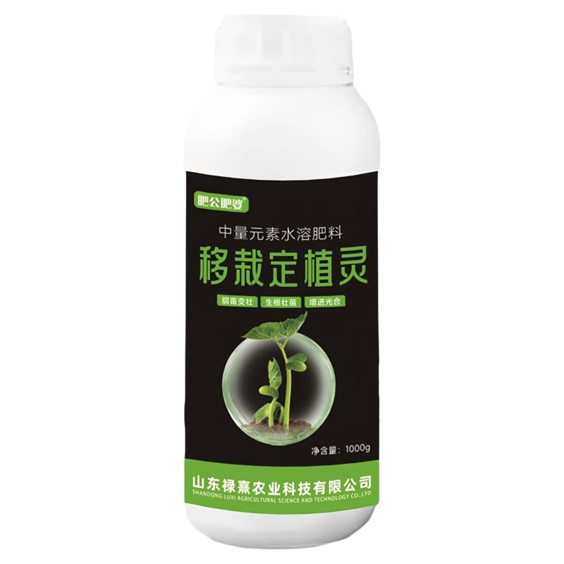 移栽定植灵植物定苗移植增加成活