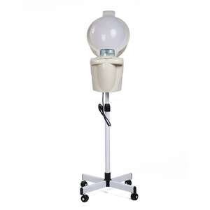 美发局油蒸汽机豪华雾王局油机家用焗油机发廊用喷雾蒸汽机正品