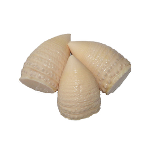 冬笋新鲜 火锅笋丝 水煮冬笋 春笋 竹笋尖 脆笋干马蹄笋 500g*5袋