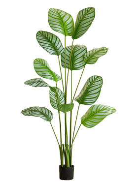 高端轻奢仿真绿植苹果竹芋装饰