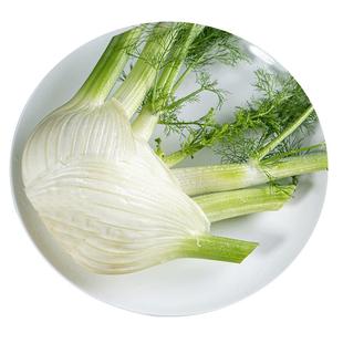 新鲜茴香头5斤包邮茴香根茴香球茎西餐料理香料蔬菜沙拉现挖