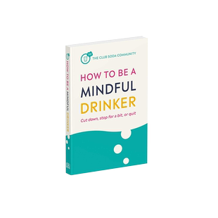 英文原版 How to Be a Mindful Drinker 如何成为一个有意识的饮酒者 DK生活百科科普读物 少喝一点,休息还是放弃