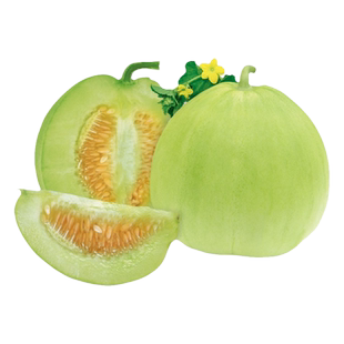 正宗日本甜宝甜瓜种籽超甜香瓜种孑特大春夏秋四季水果盆栽种孑苗