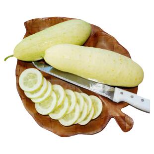 白色奇迹黄瓜种子鲜嫩多汁甜脆高产耐热传家宝室内阳台春秋盆栽