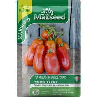 【MARSEED火星家】进口Fingers of Naples那不勒斯十指番茄种子苗