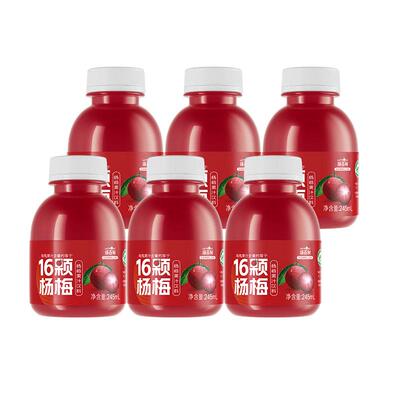 扬百利杨梅汁冰镇饮料