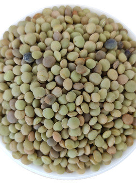 甘肃特产小扁豆杂粮旱地老品种