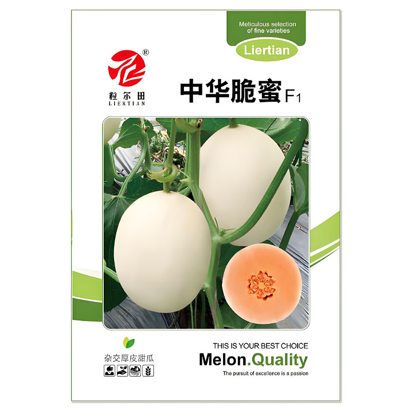 中华脆蜜甜瓜种子水果种子